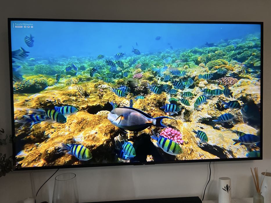 Smart TV SONY BRAVIA X80G diagonala 189.3cm