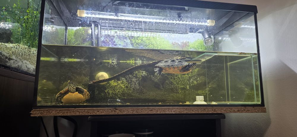 Acvariu de 112L complet echipat