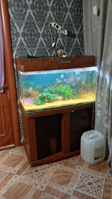 Аквариум 230 литров