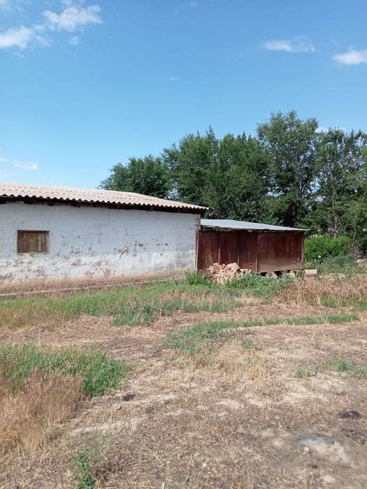 Продам дом в сельской местности