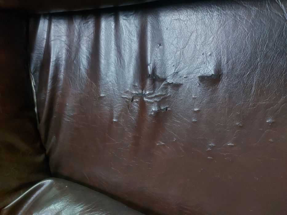 Canapea piele și un fotoliu