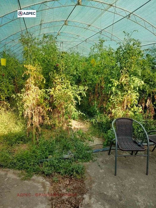 Продава се Парцел в с. Подем, Област Плевен - 990 кв.м за 20 €/кв.м - Снимка #1