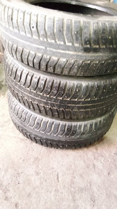 Продам три болона