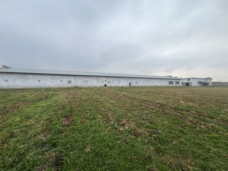 Продаётся откормочная база-ферма