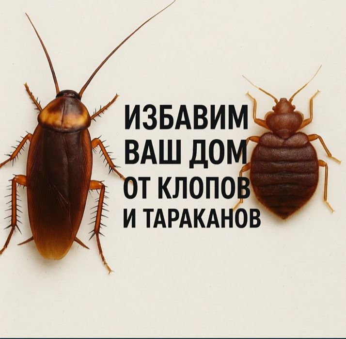 Дезинфекция недорого! Круглосуточно!