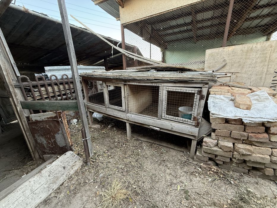 Клетки для разведения кролов