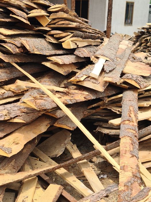 Гарбыль сосна ель