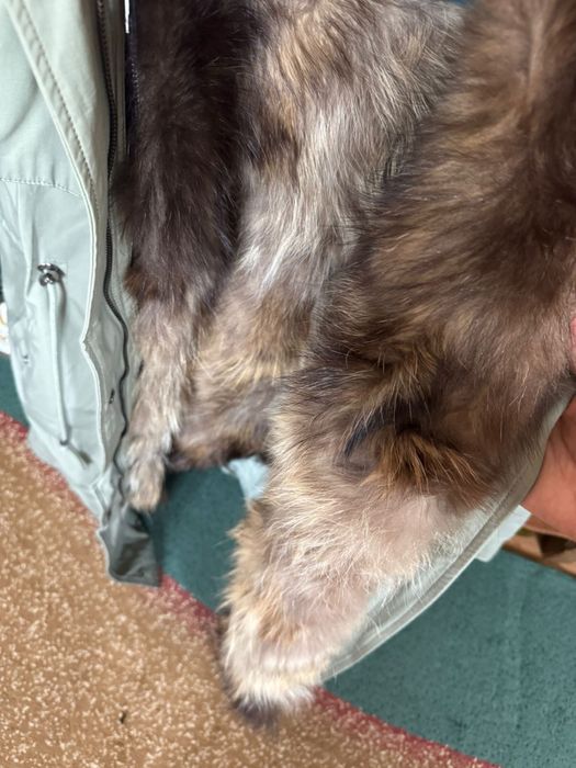 Парка почти новая