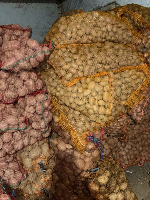 Vand cartofi consum samanta si pentru animale