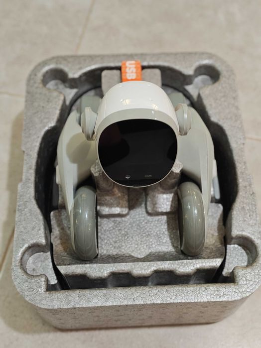 Robot Loona, interactiune inteligenta Chat GPT, recunoastere faciala