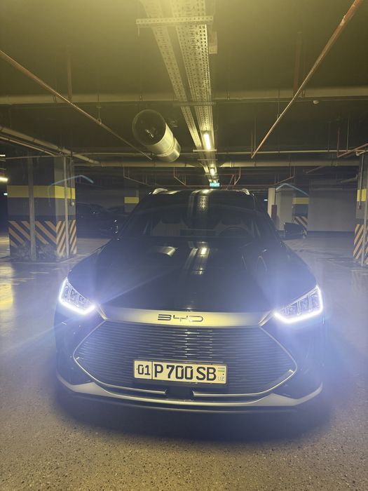 Бивайди гибирит АВД. 2023 йил