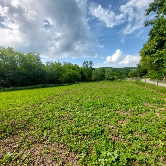 Vand casa + teren suprafata 4313 mp