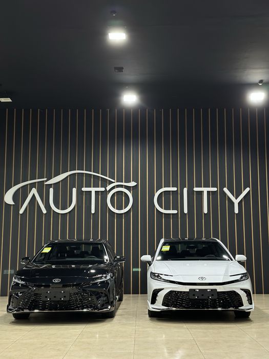 Toyota Camry 80 (Hybrid)