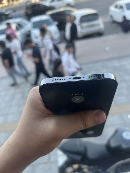 12Pro Max hammayogi radnoy