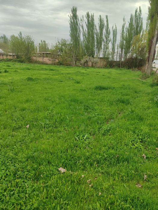 Uchaska yer sotiladi 10 sotix