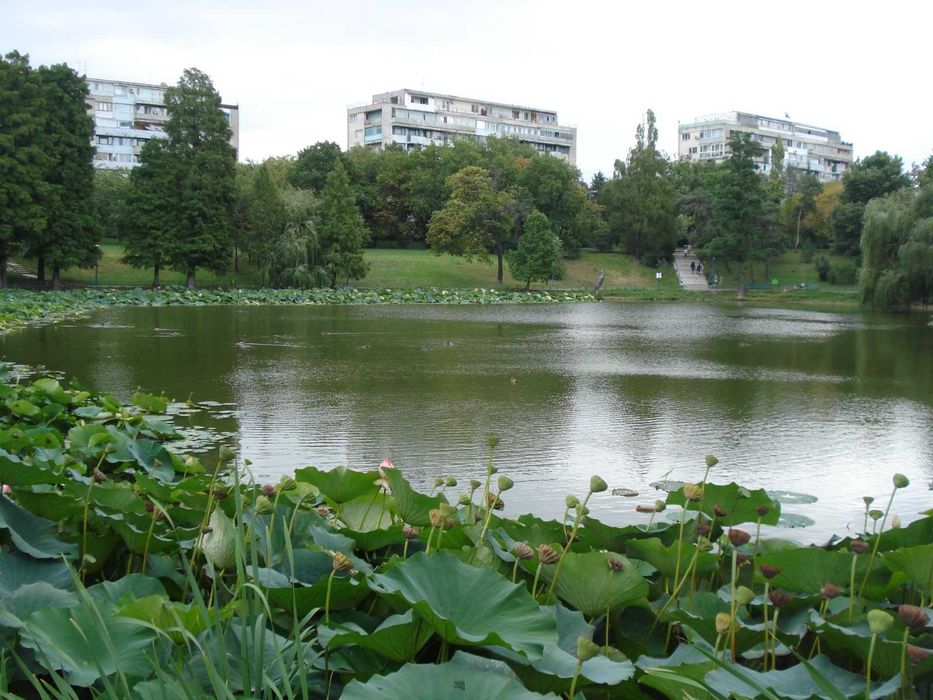 De inchiriat. Apartament 3 camere Parcul Circului cu vedere la parc