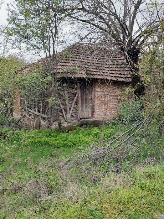 Продава се Парцел в Монтана, Пъстрина - 1625 кв.м за 5 €/кв.м - Снимка #3