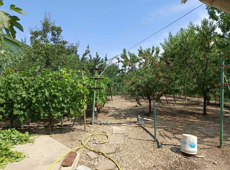 OTOPENI CENTRAL–VILA GENEROASĂ -350m.p. pe 1000m.p. teren- ideala familie extinsa, afaceri sau investitie