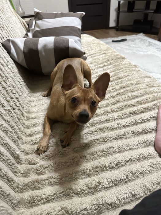 Мальчик ищет девочку