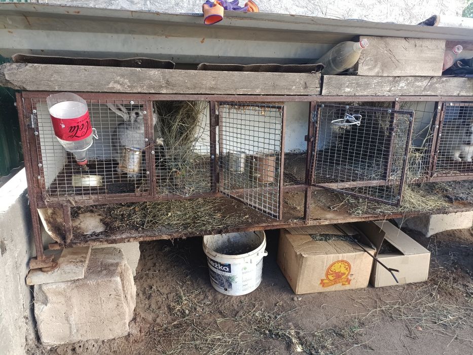 Крольчатник - клетка