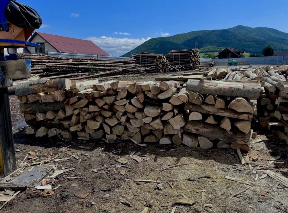 Vând lemne de foc (fag, stejer, carpen)‼️