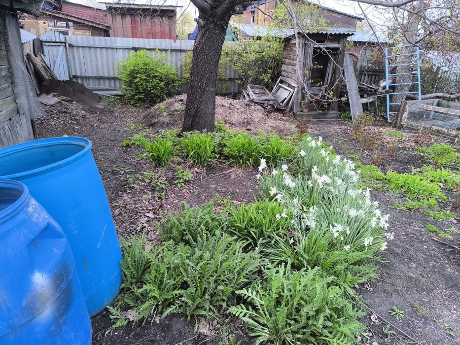 Земля 10 соток в рабочем