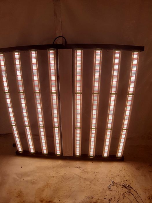 PHLIZON 1000w led grow light