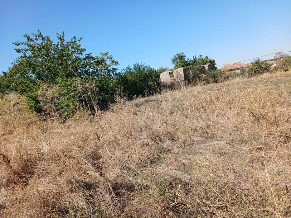 Продавам двор 1000 кв.м с ток и вода в с. Бисер
