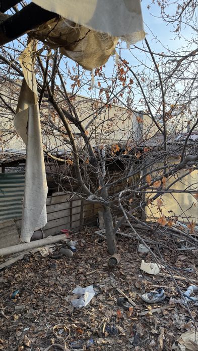 Продаю деревья, бревна, доски,