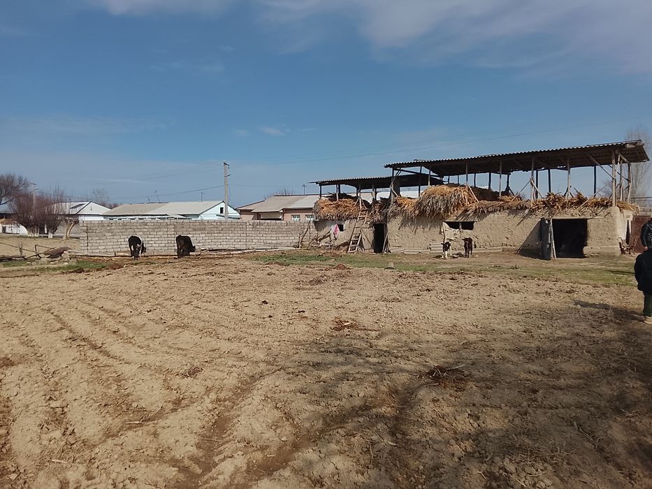 18 сотих йер учаскамиз сотувга чикти