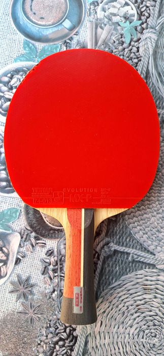 Paletă tenis de masă Bernadette Szocs Signiture 1
