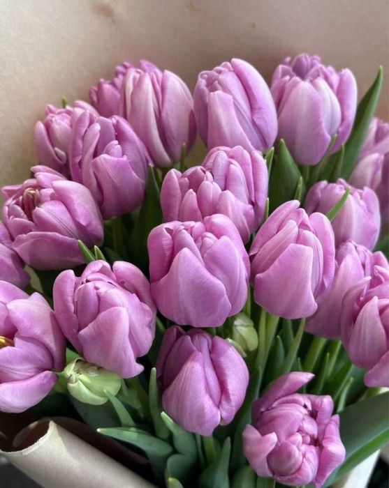 Букеты тюльпанов цветов