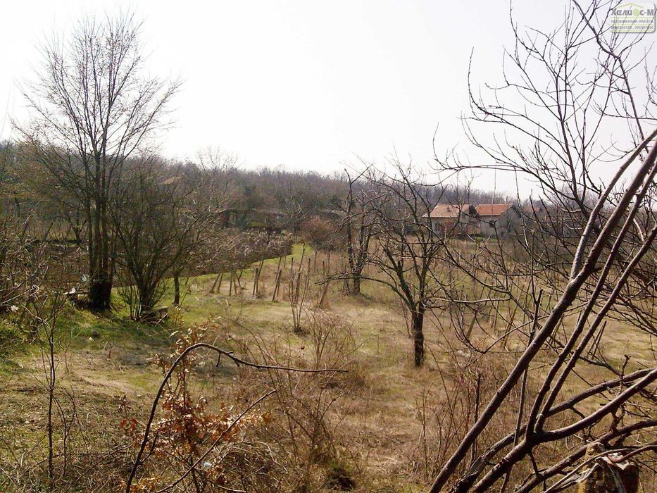 Продава се Парцел в Монтана, Парта 1 - 3720 кв.м за 6 €/кв.м - Снимка #5