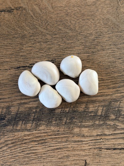 Seminte Jackfruit - pom fructifer exotic