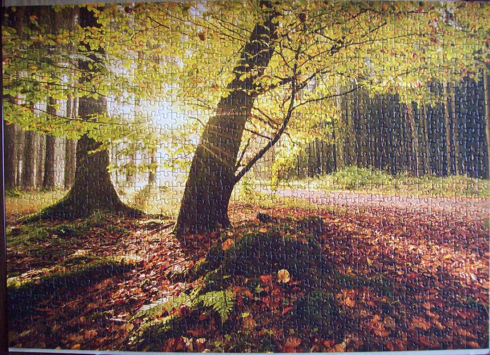 Нареден пъзел - 1000 части