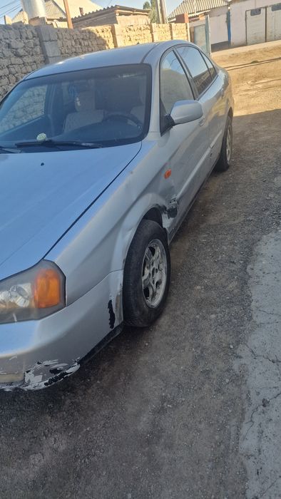 Даево магнус  ..