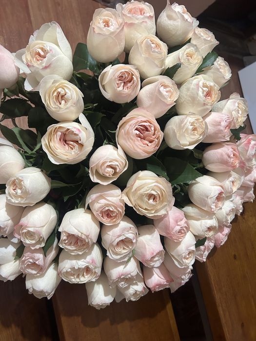 Пиновидные розы . Розы