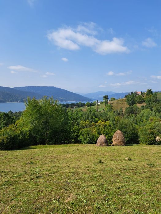 Terenuri intravilane lac Bicaz-Buhalnita,com.Hangu,jud.Neamt