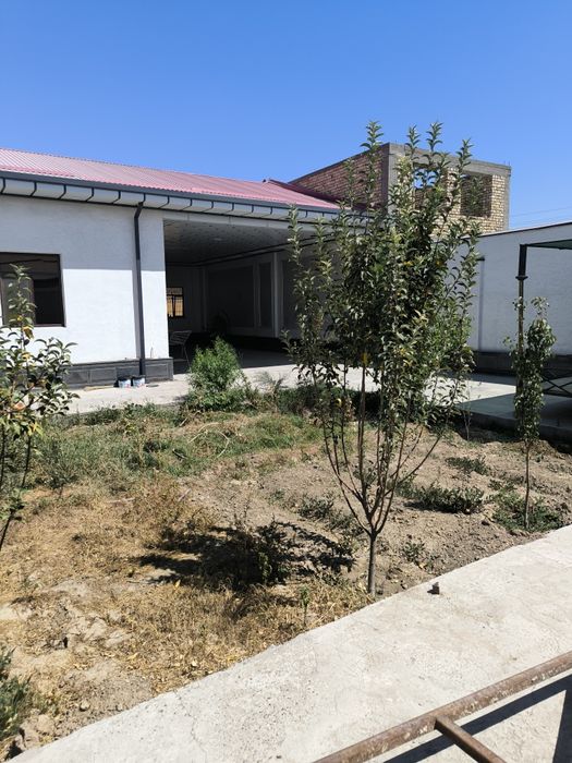 Чуткара катеж 2016..