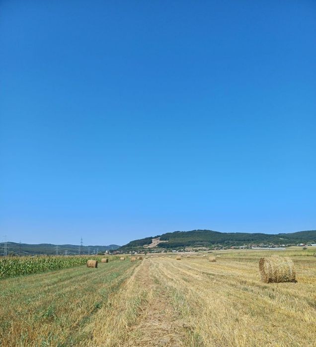 Vând baloți de paie cu iarbă rotunzi, neplouați, făcuți dimineața