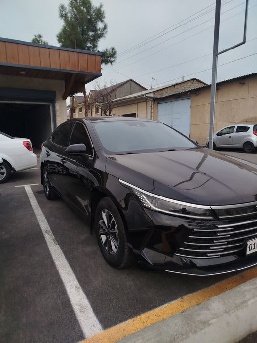 Chazor 2023 yil gibrit