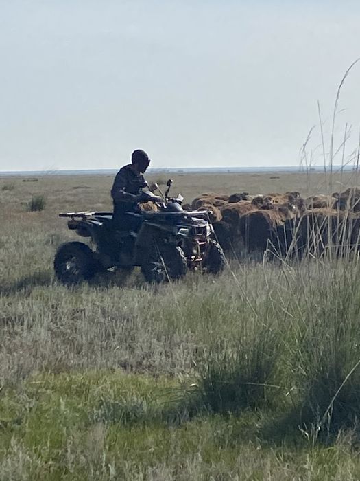 Квадроцикл 250куб