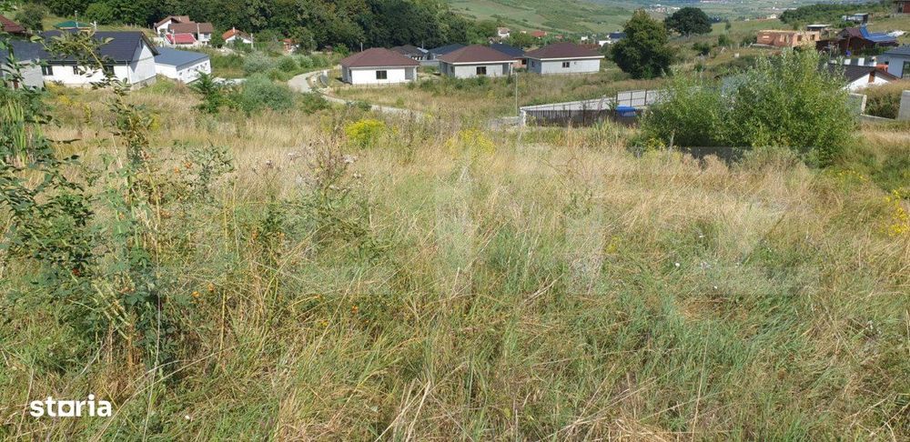 Teren de 785 mp, zona Dealul Jelnei