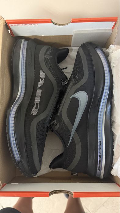 Nike zoom pegasus