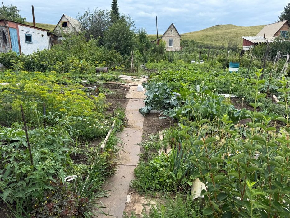 Продам  дачу   .