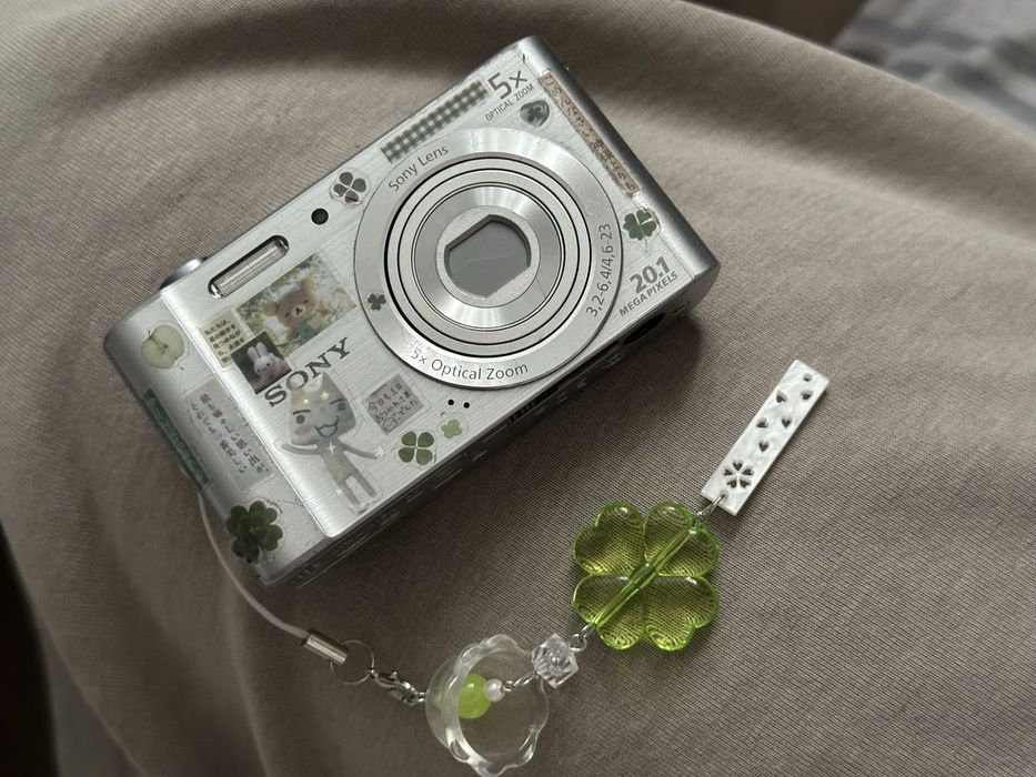 Sony Cyber-shot DSC W-800 серябристый