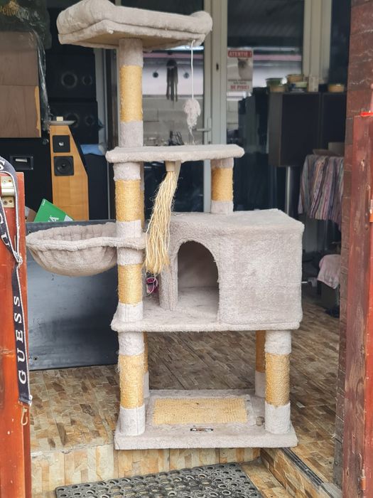 Ansamblu pentru pisici