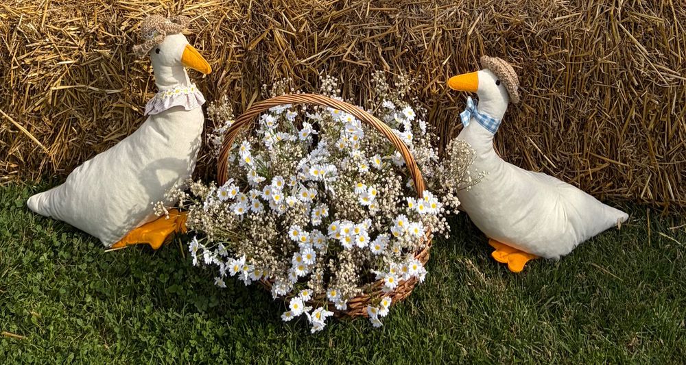 Украса за рожден ден тема гъска/one silly goose