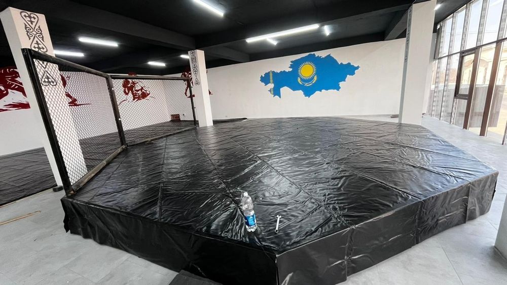 Изготовление Октагон Ринг MMA