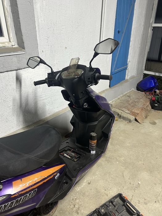 На продаже лия сурпа